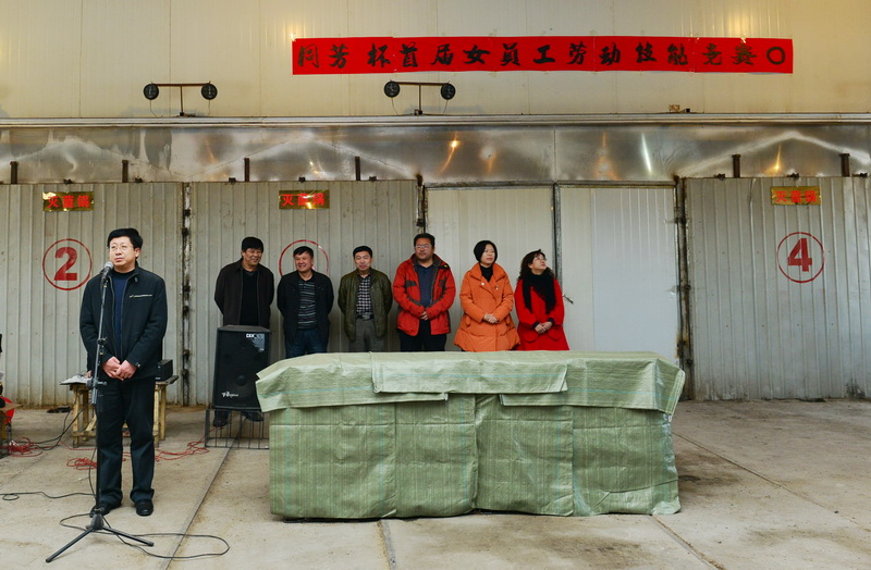 大阳城43335集团娱乐网