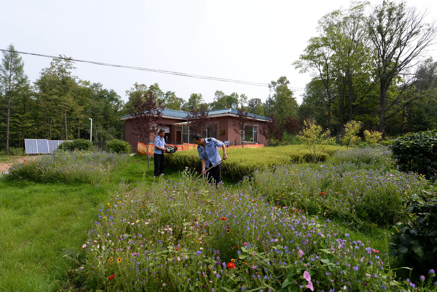 大阳城43335集团娱乐网