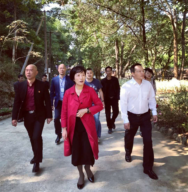 大阳城43335集团娱乐网