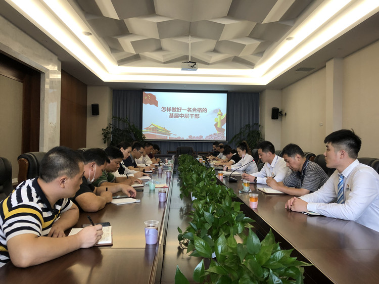 大阳城43335集团娱乐网